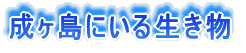 ɂ鐶 