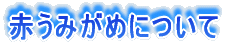 Ԃ݂߂ɂ