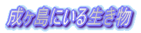 ɂ鐶