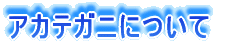 AJeKjɂ